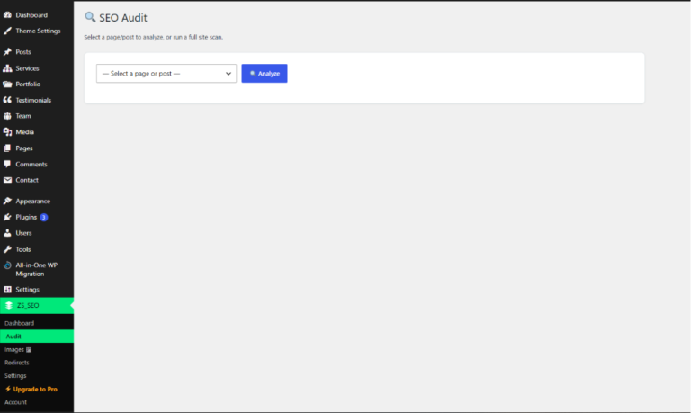 SEO Audit